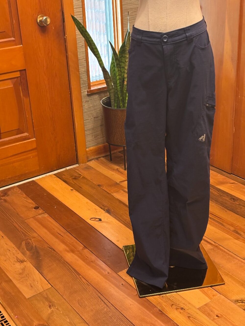 Eddie Bauer First Ascent Blue Hiking Pants